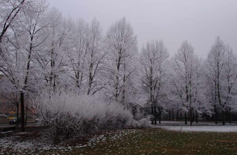 Un gelido alito da est nel mite gennaio 2012: galaverna e giornate di ghiaccio ad Asti
