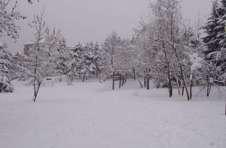 Le nevicate di fine gennaio – inizio febbraio 2012