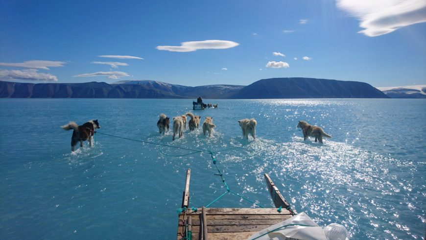 Fusione dei ghiacci in Groenlandia: cosa c’è di vero sulla foto che ha fatto il giro del mondo?