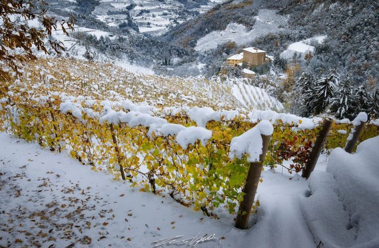 14-19 novembre 2019: neve precoce in pianura, eccezionale su Langhe e Appennino