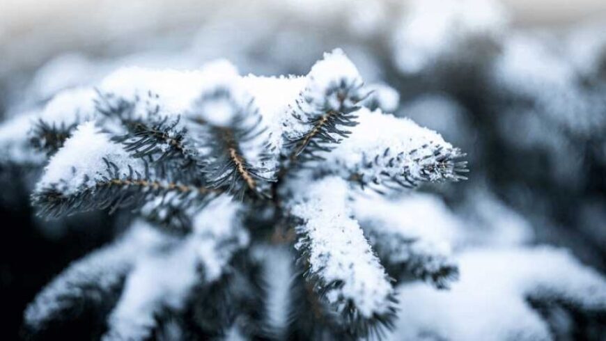 Cambia il tempo e torna la neve in Appennino | Previsioni Meteo di Natale