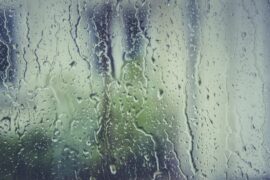 Grigio con deboli piogge sparse | Previsioni Meteo 16 dicembre 2020