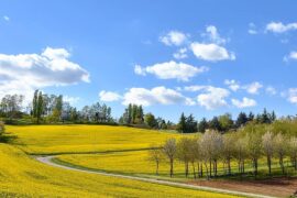 Giornata tersa con temperature gradevoli | Previsioni Meteo 20 maggio 2021