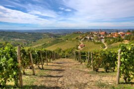 Sole con nubi sparse e temperature gradevoli | Previsioni Meteo 28 maggio 2021