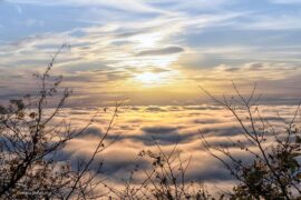 Cieli grigi e nebbie in pianura, sole in Alta Langa | Previsioni Meteo 19 novembre 2021