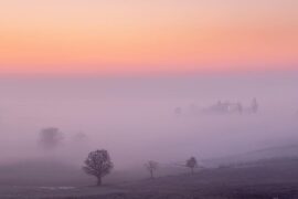 Nebbie in pianura e soleggiato sulle Langhe | Previsioni Meteo 7 dicembre 2022