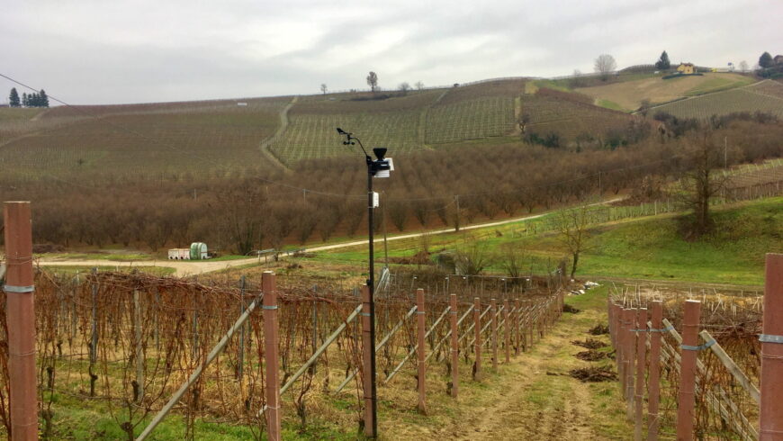 Barolo (CN) – 257 m